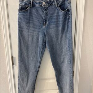 Ava and Viv Slim Straight